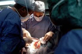 Insight into the Surgical Procedures Performed by Vascular Surgeons