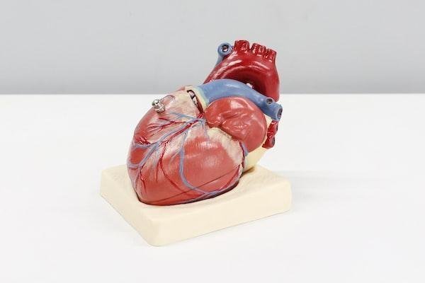 Recognizing Warning Signs of Heart Problems