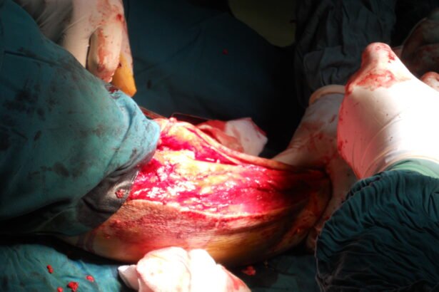 Procedures Performed by an Orthopedic Surgeon