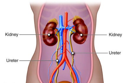 Signs You Should Consult an Enlarged Prostate Specialist