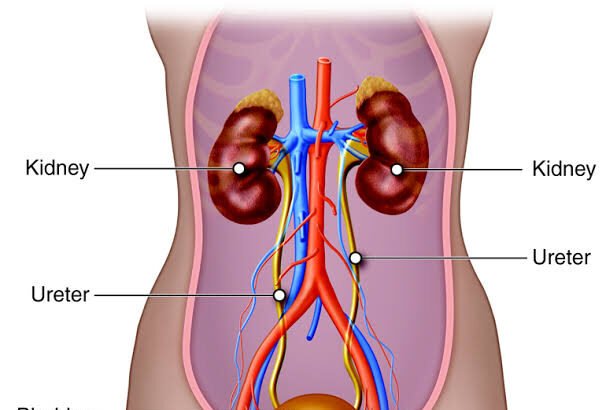 Signs You Should Consult an Enlarged Prostate Specialist